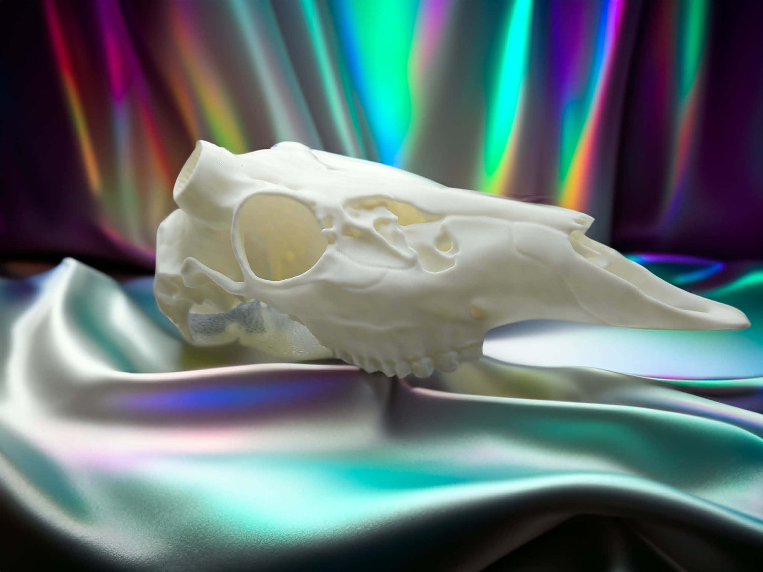 RHoldz Outdoorz Arrowhead Deer Skull Wall Mount