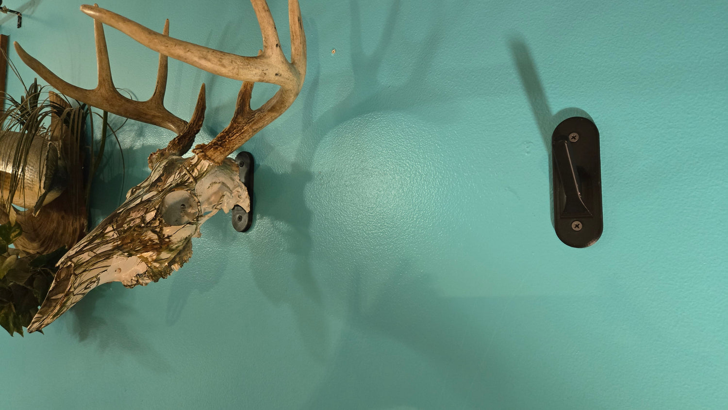 Euro Wall Mount Holder