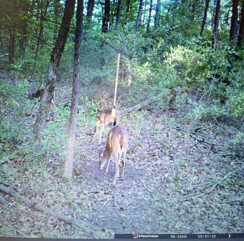 4 Foot Scrape Rope Kit