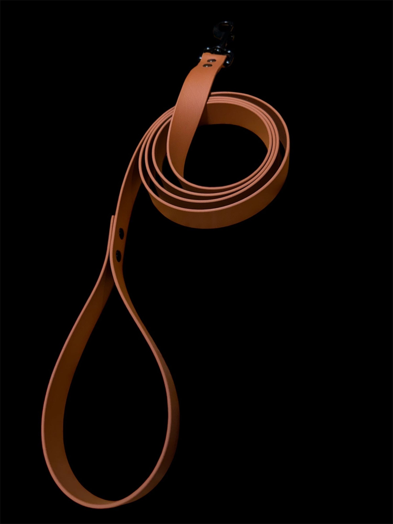 TFS Cable Works Pup leash