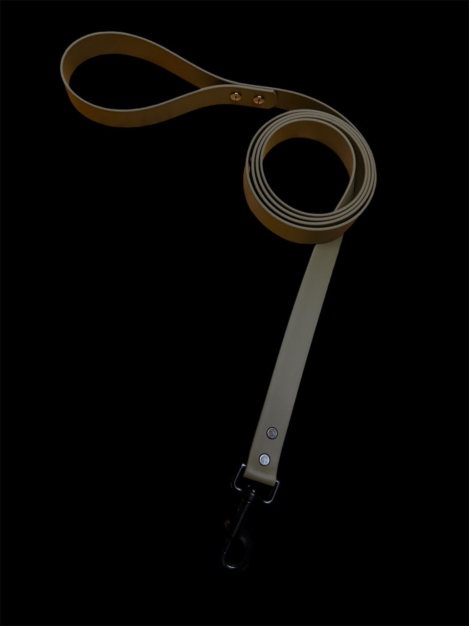 TFS Cable Works Pup leash