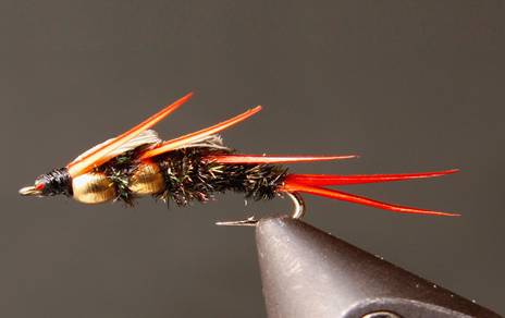 Stone Creek Outfitters DB Peacock Stonefly Nymphs