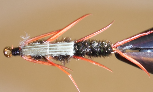 Stone Creek Outfitters DB Peacock Stonefly Nymphs