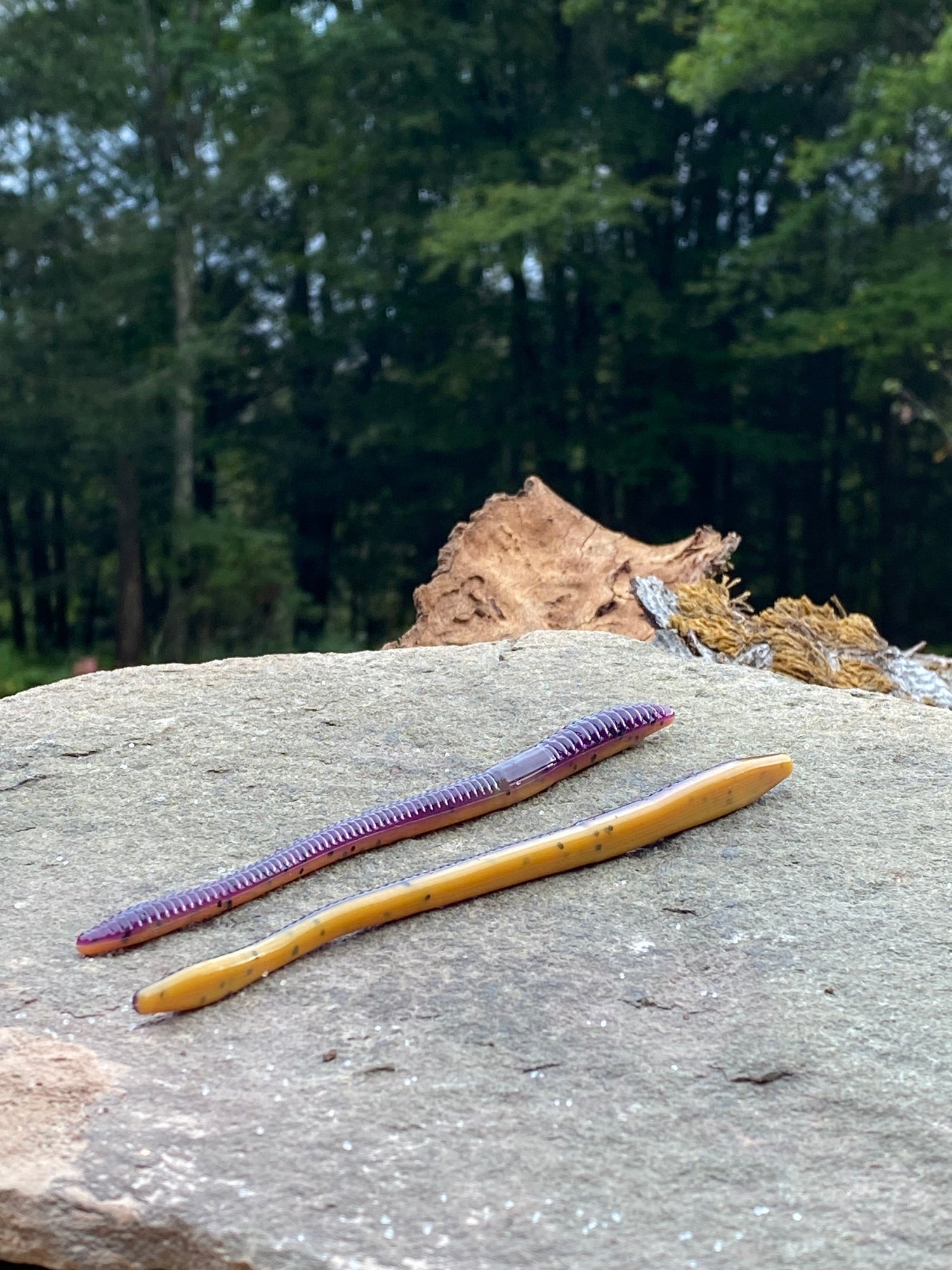 Hendrix Fishing Co. 6