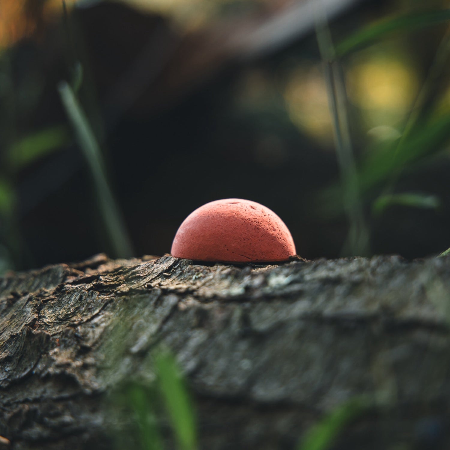 KLUK Custom Calls RED KLUK CHALK