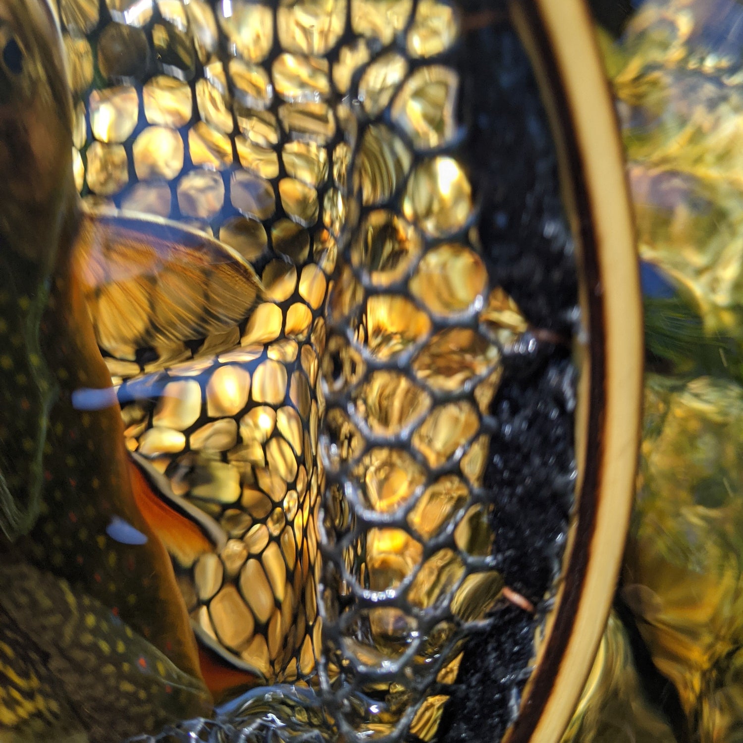 Hellbender Nets The Upstream - 13x19