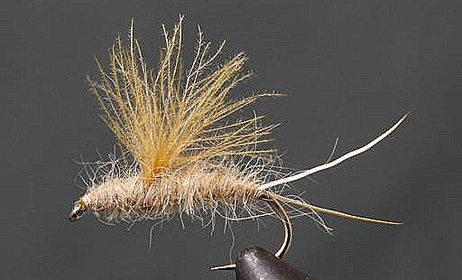 RS2 Emergers - Olive or Tan