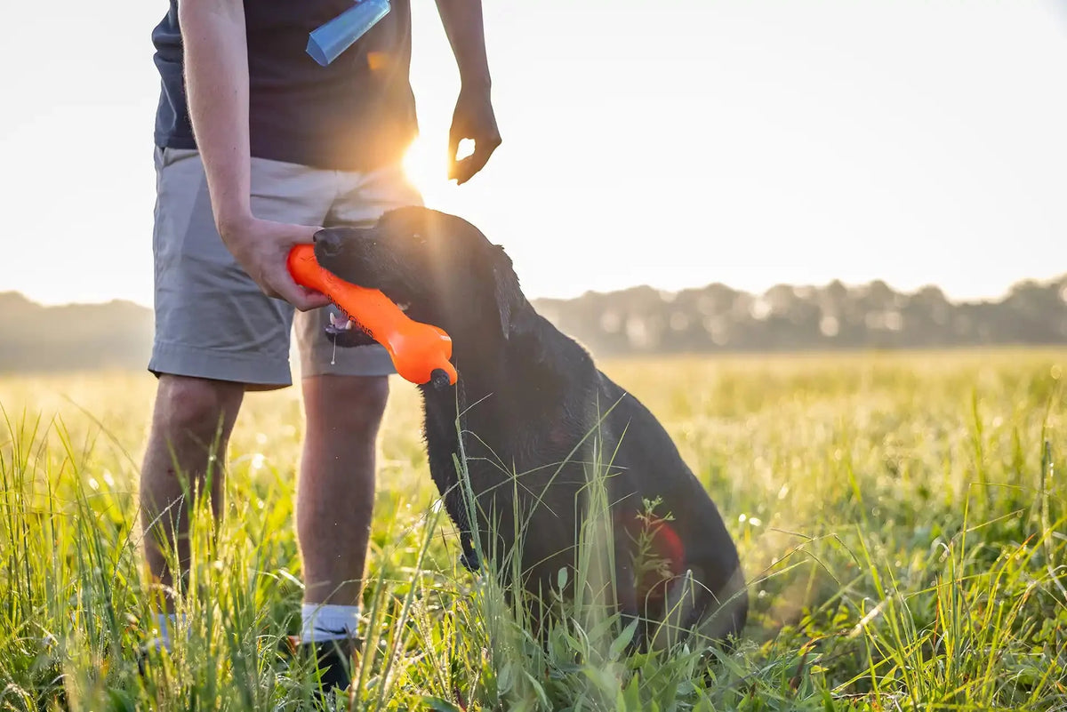 Barrows Training Bumper Pack - Orange