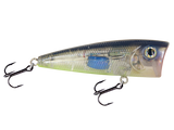 Livingston Lures WALK N POP 77