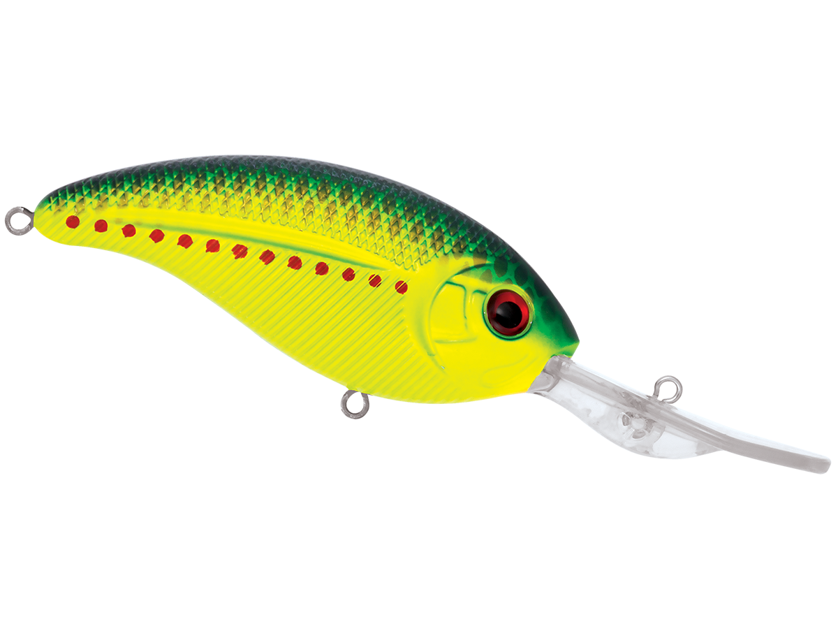 Sale Item - Deep Impact 18