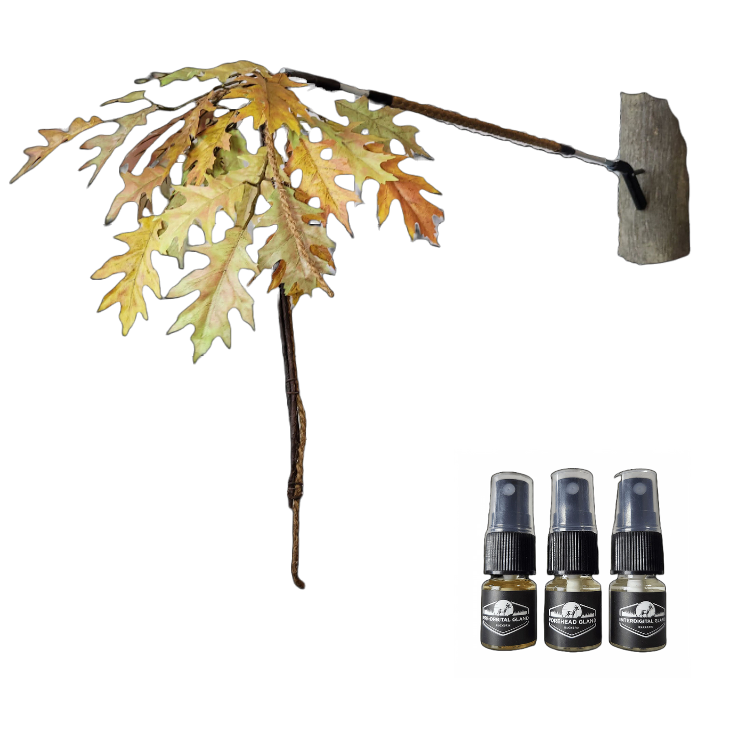 BuckStik BuckBranch w/ 3 pack of Glands