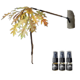 BuckStik BuckBranch w/ 3 pack of Glands