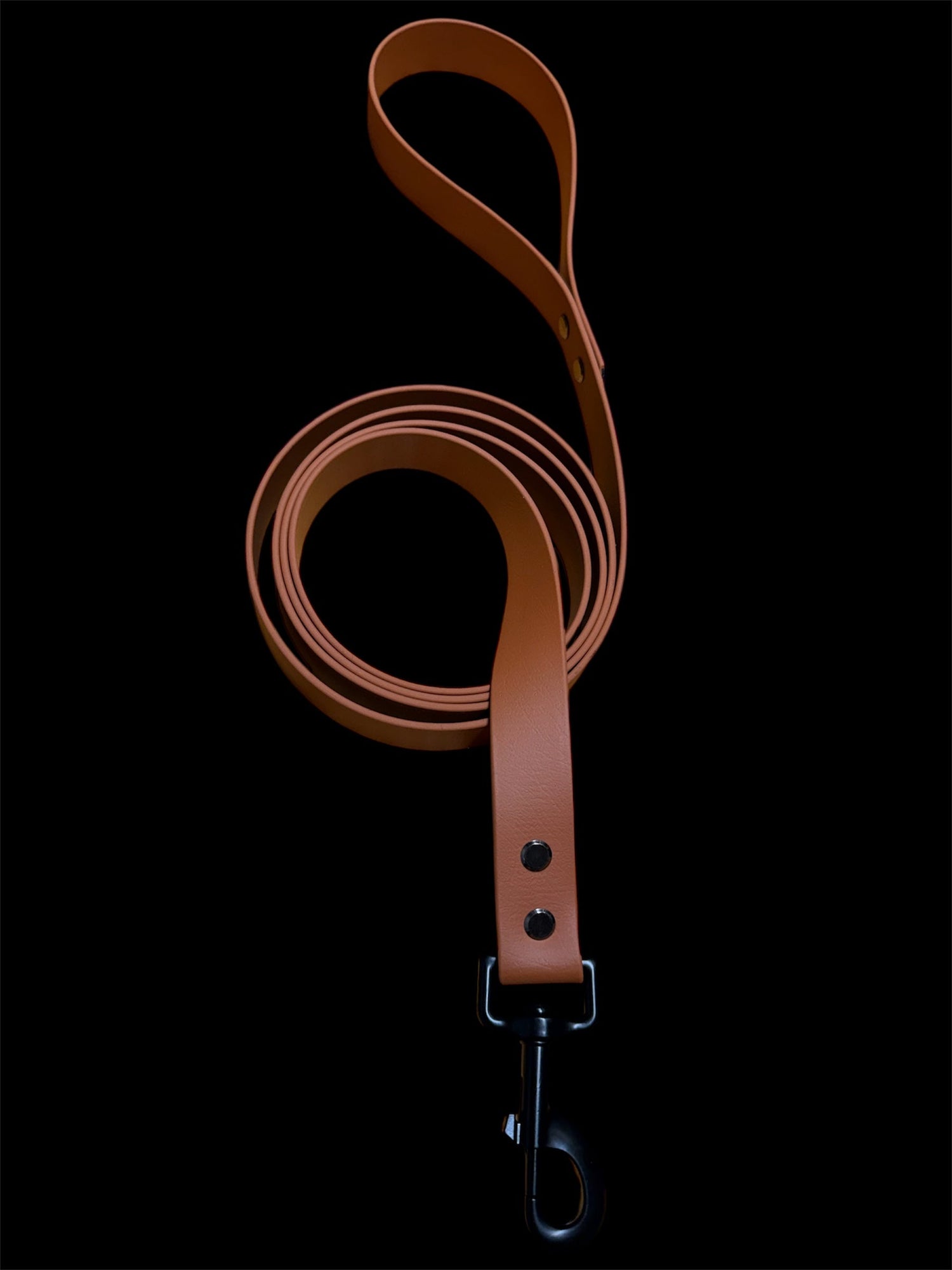 TFS Cable Works Pup leash