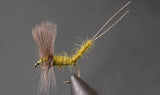 Stone Creek Outfitters Extended Body Mayfly