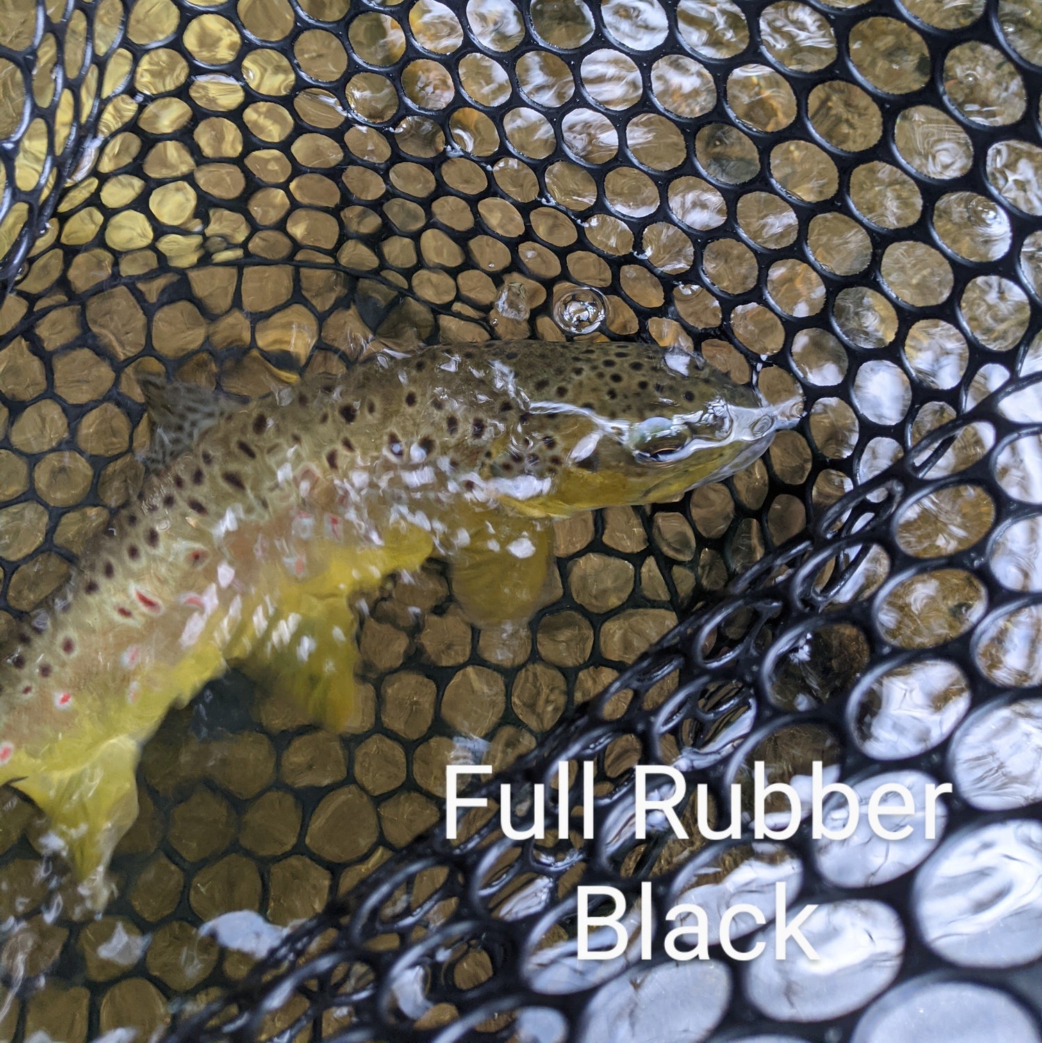 Hellbender Nets The Upstream - 13x19