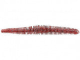 GRANDEBASS 3.75" Baby Rattlesnake