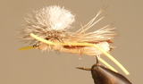 Stone Creek Outfitters Parachute Stone Hopper