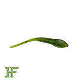 Hendrix Fishing Co. 2" Tiny Temper - 20 Pack