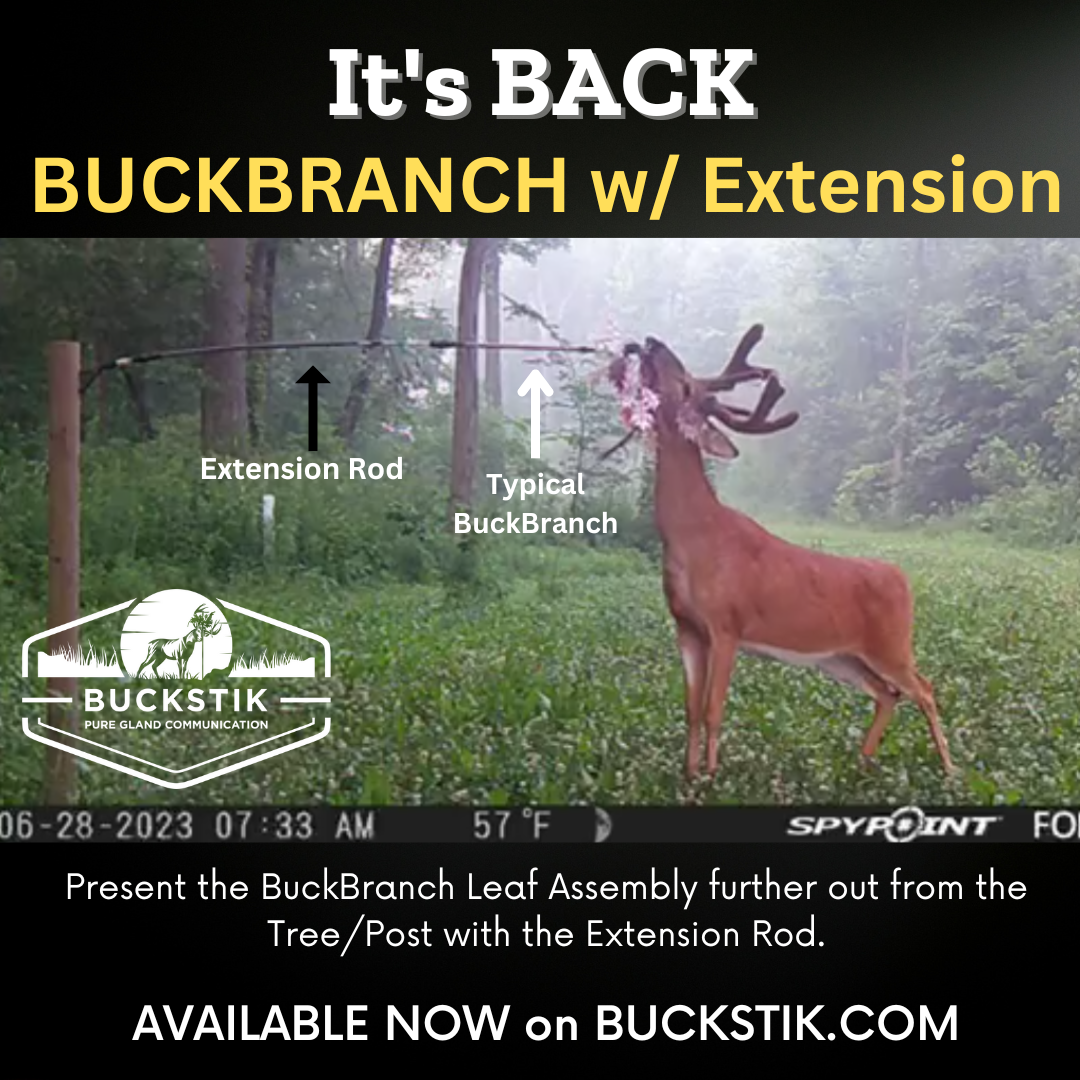 BuckStik BuckBranch w/ 3 pack of Glands