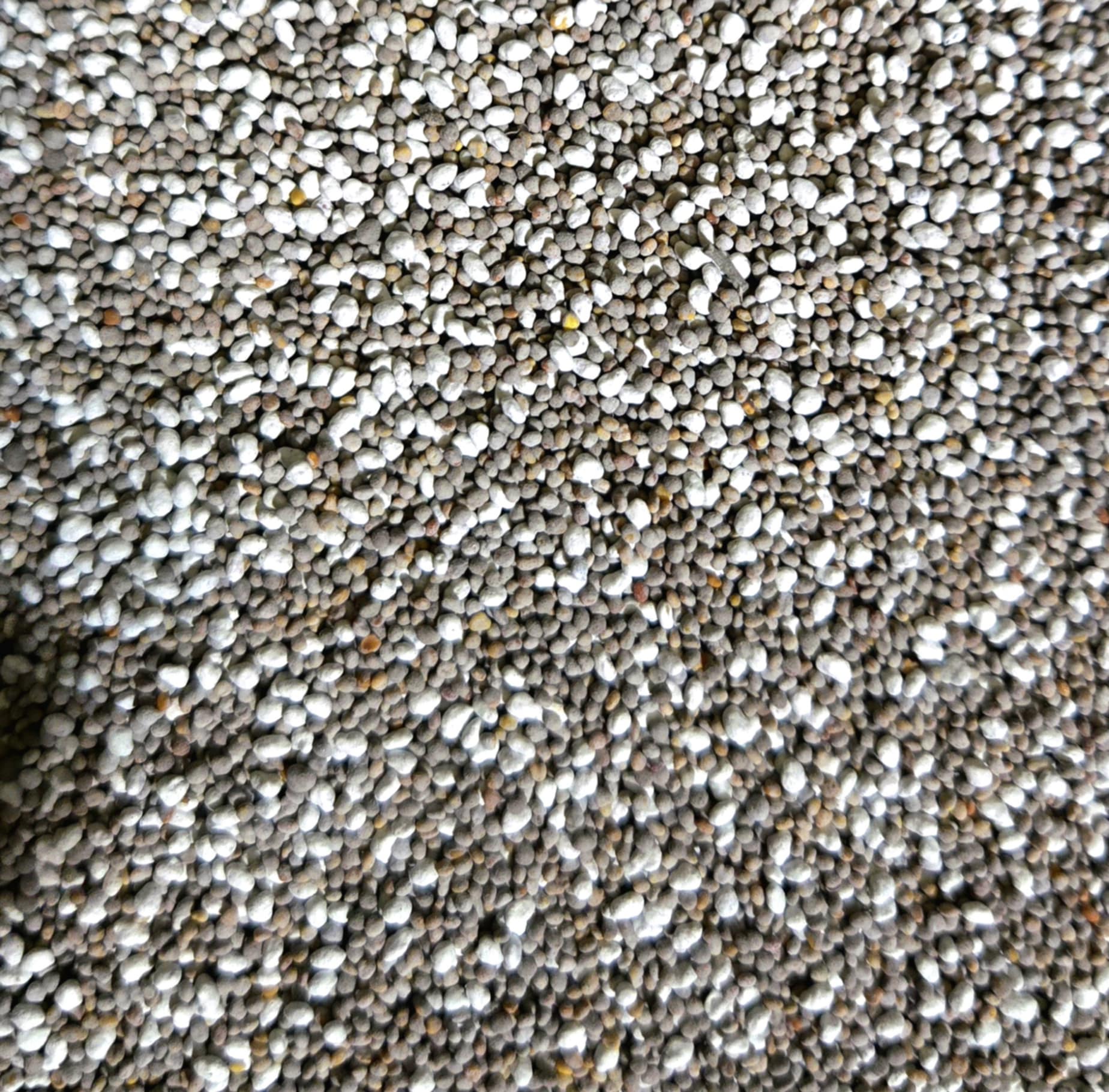 Big Azz Clover – Hunting Camp Outdoor Supplies