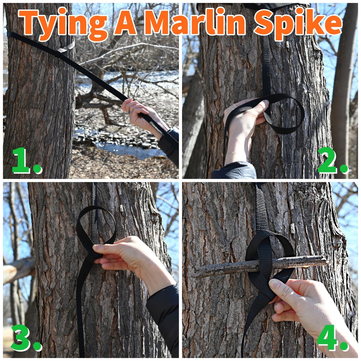 Hanging High Hammocks Huggers Tree Straps