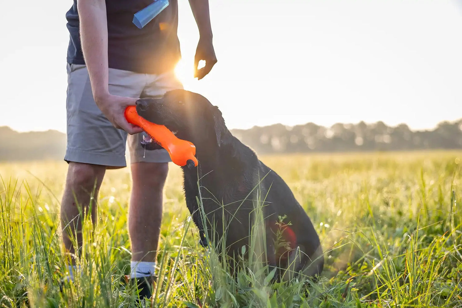 Barrows Training Bumper Pack - Orange