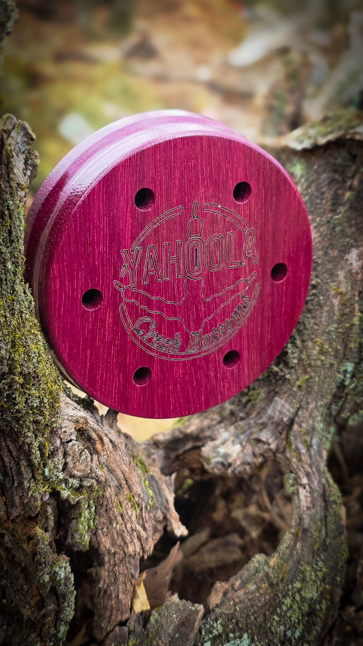 Yahoola Creek Bottoms Purple Heart 