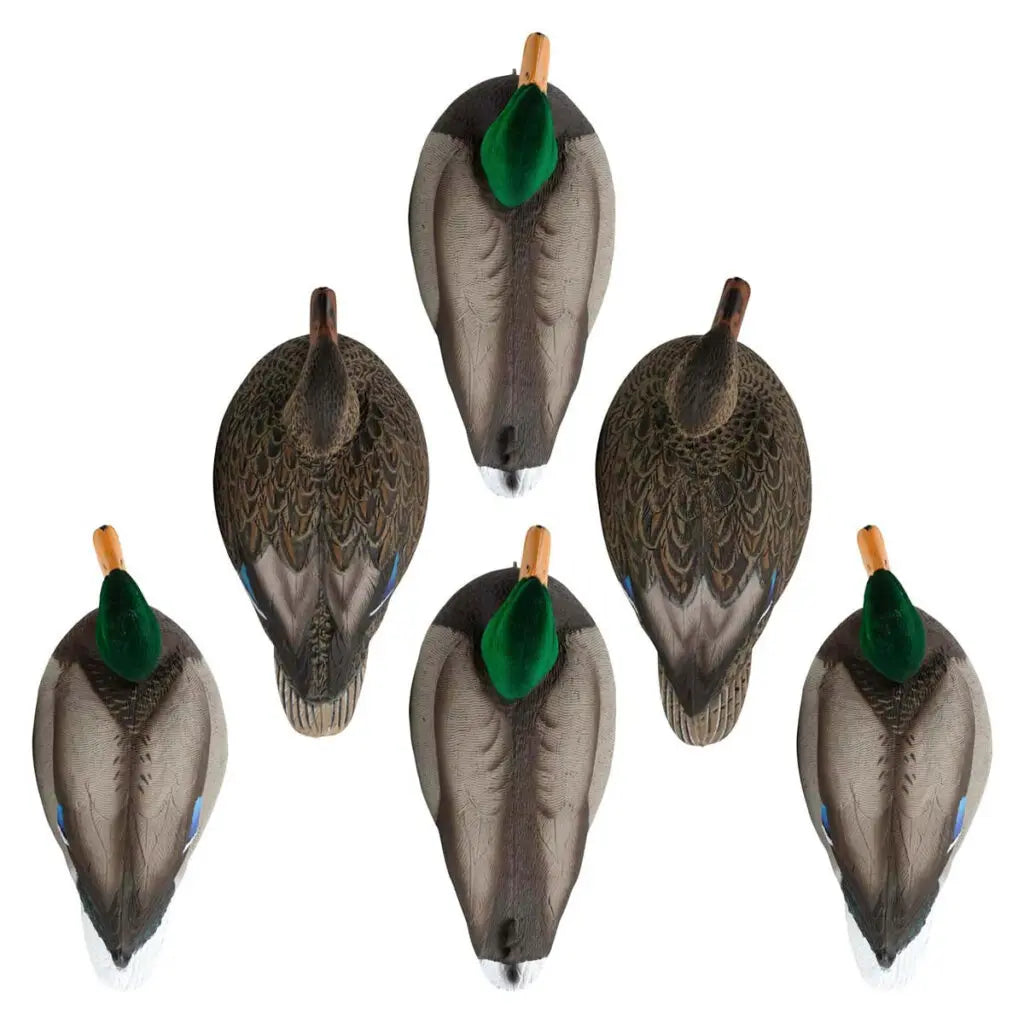 Rugged Series Standard Mallard Floater Decoys – Flocked Head Drakes