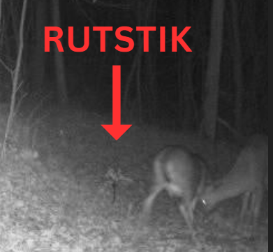 BuckStik RutStik